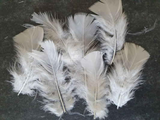 Veertjes Wit