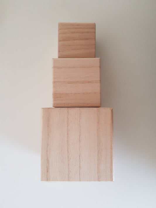 Houten blokken toren (3)