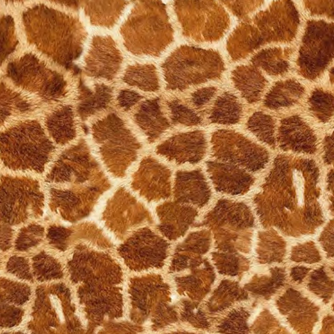 Siser EasyPatterns EPWGIR wild giraffe